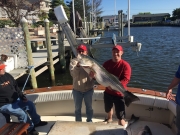 Great Catches