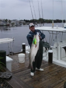 Great Catches