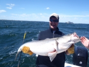 Capt Mike Formichella 51 Lb