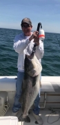 Ed Plichta 51 Lb