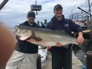 Mark Redman Haley 50.7 Lb